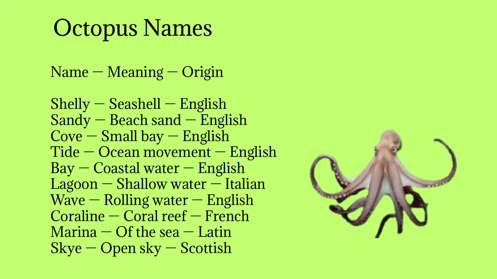 Octopus Names