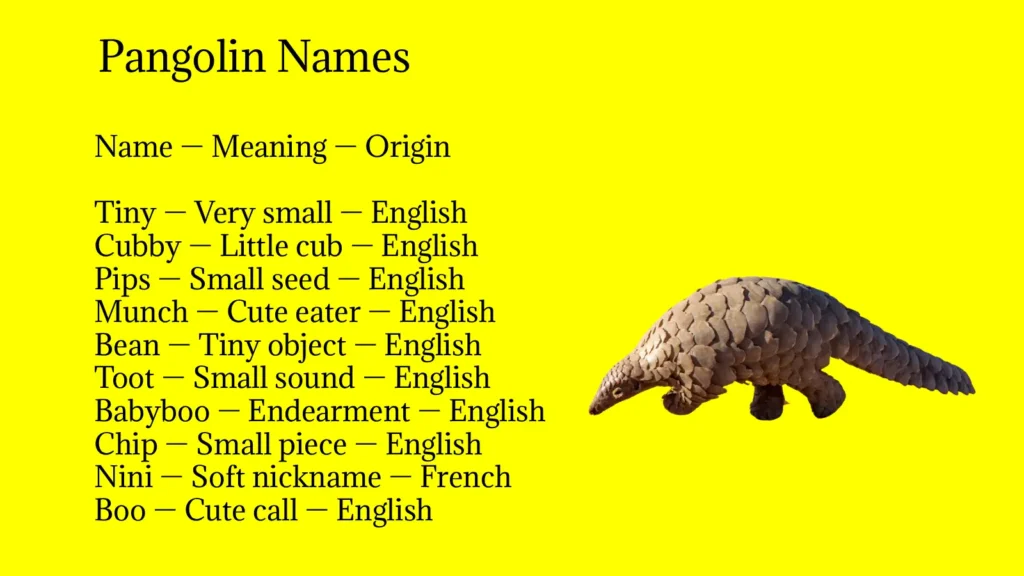 Pangolin Names