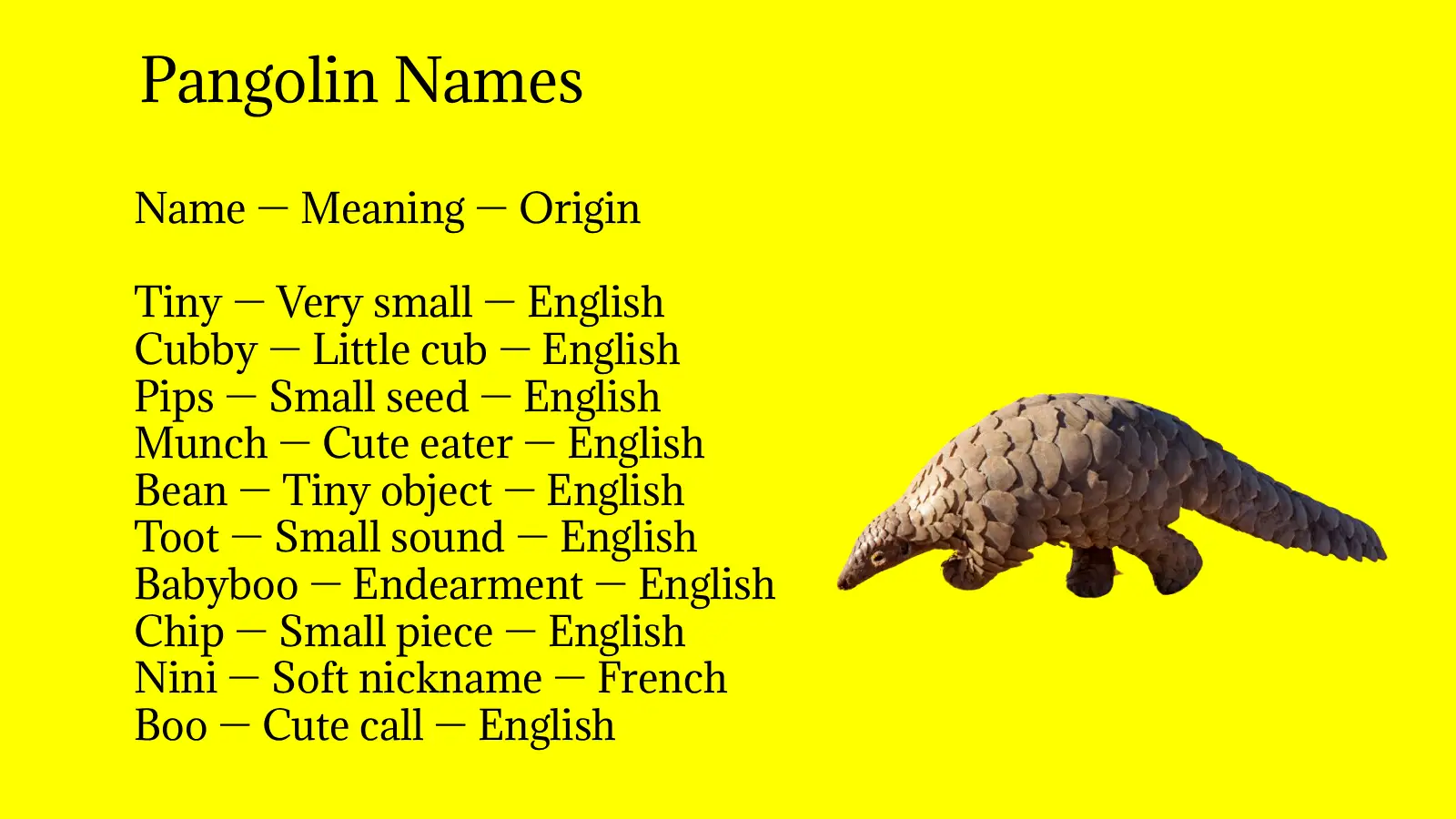 Pangolin Names