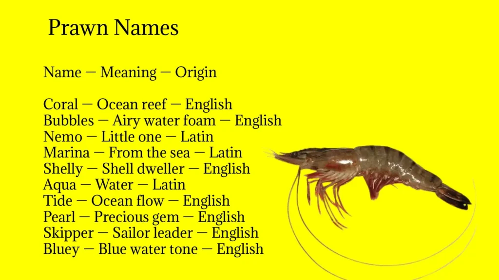 Prawn Names