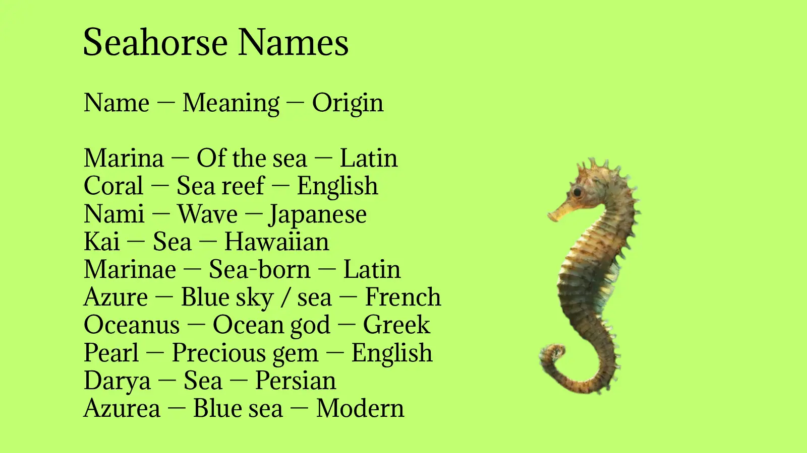 Seahorse Names