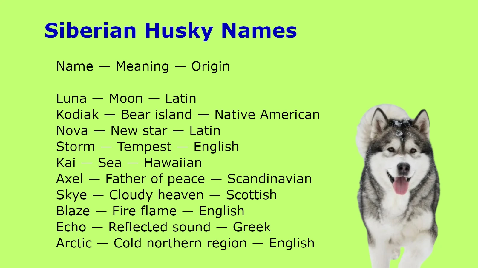 Siberian Husky Names