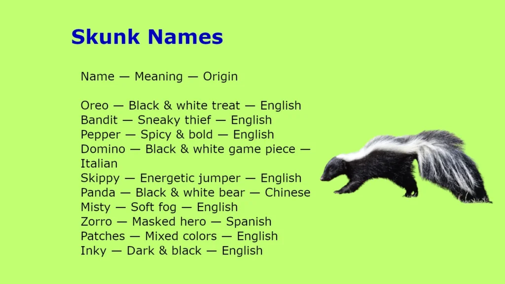 Skunk Names