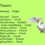 Swan Names