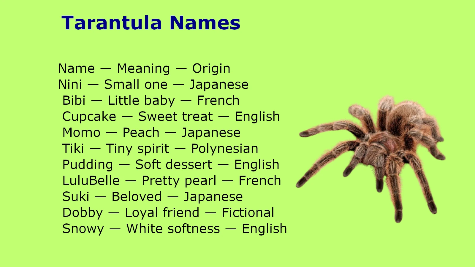 Tarantula Names