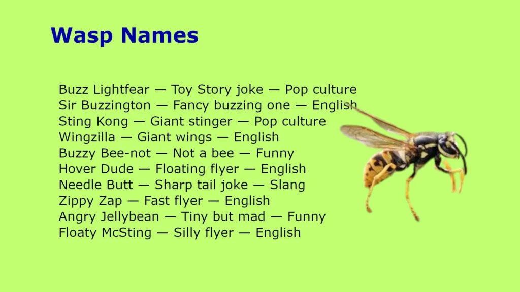 Wasp Names