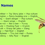 Wasp Names