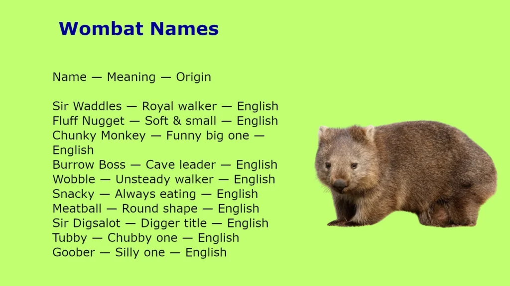 Wombat Names