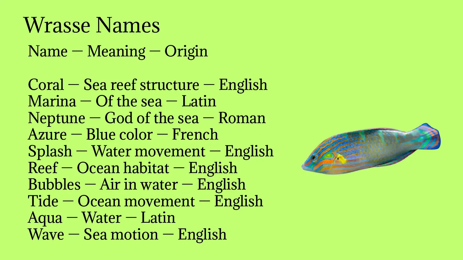 Wrasse Names