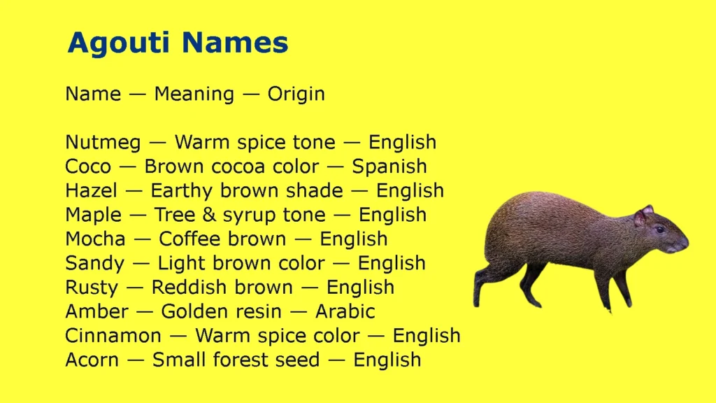 Agouti Names