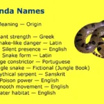 Anaconda Names