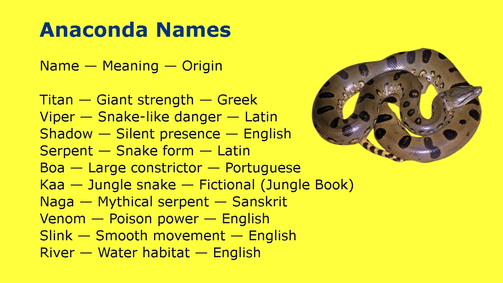 Anaconda Names
