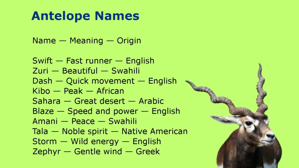 Antelope Names