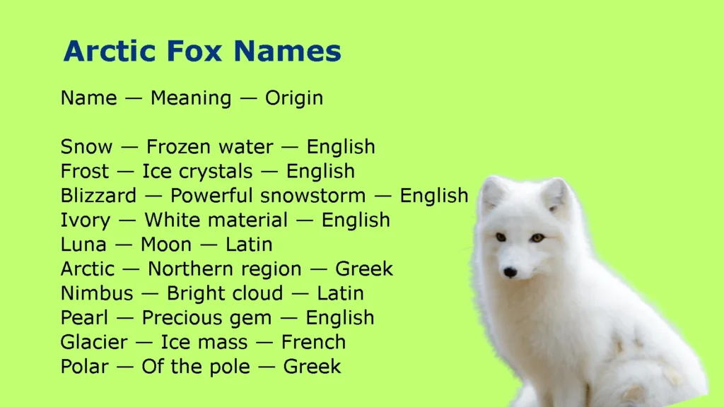 Arctic Fox Names
