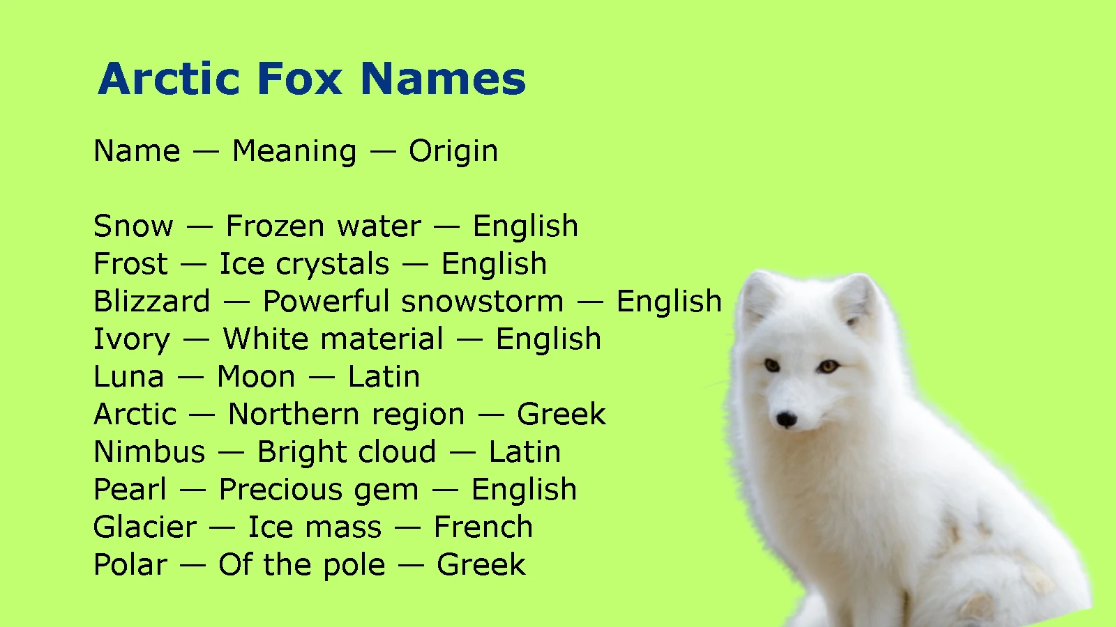 Arctic Fox Names