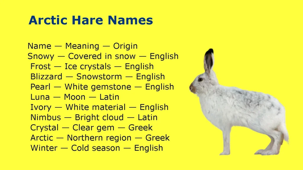 Arctic Hare Names