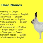 Arctic Hare Names