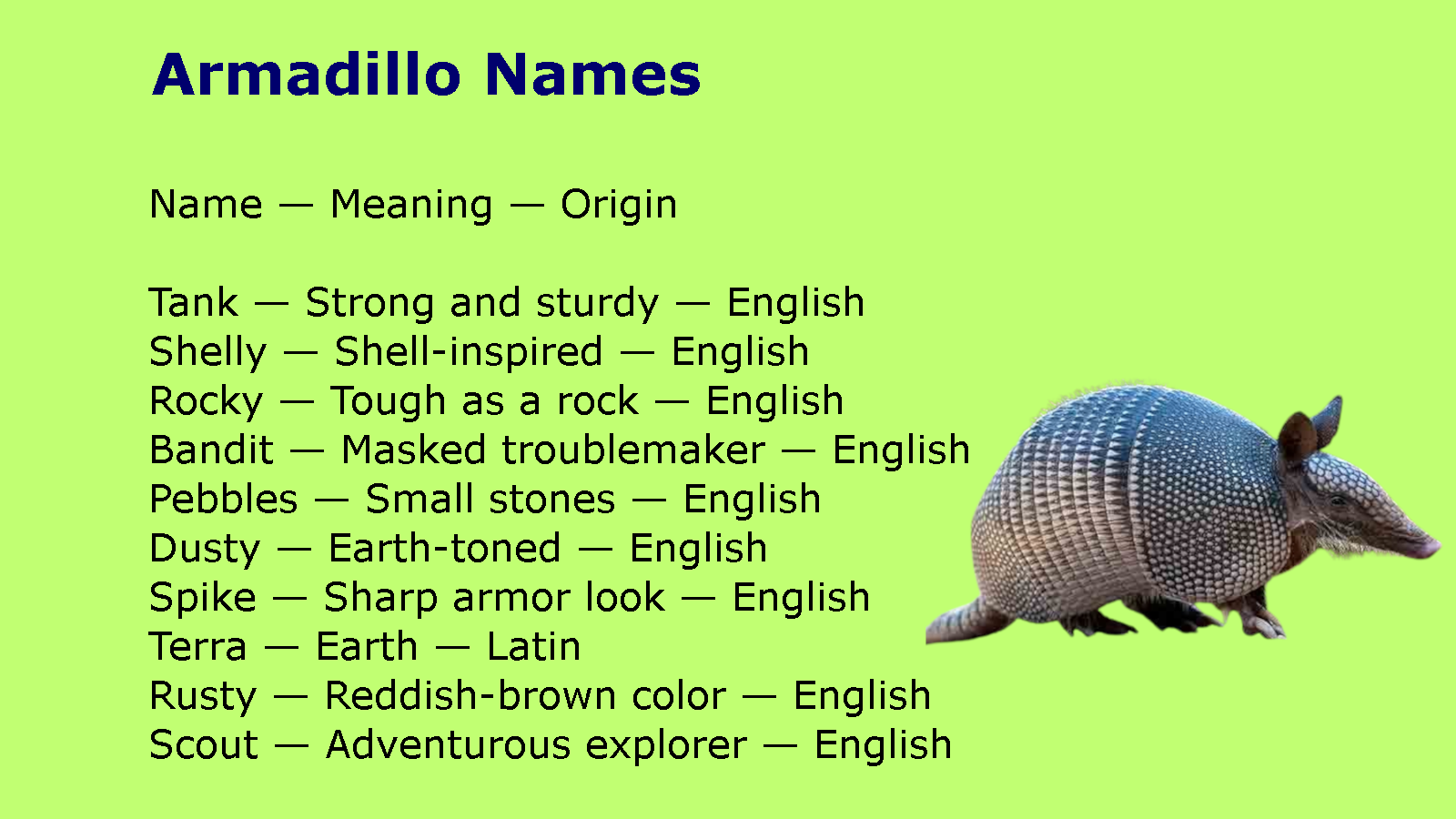 Armadillo Names