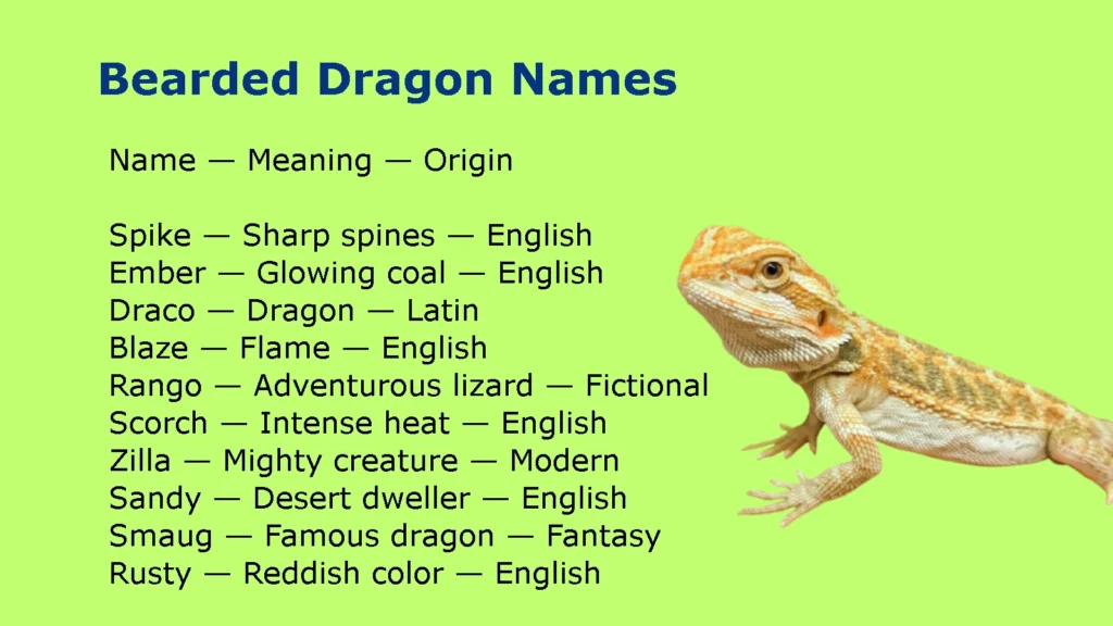 Bearded Dragon Names