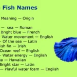 Betta Fish Names