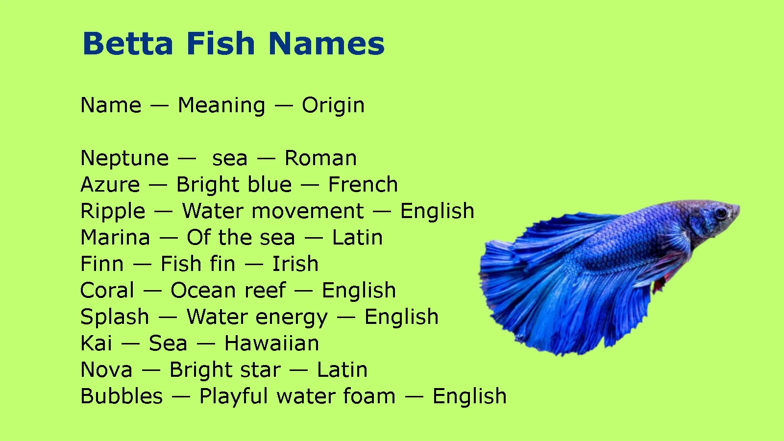 Betta Fish Names