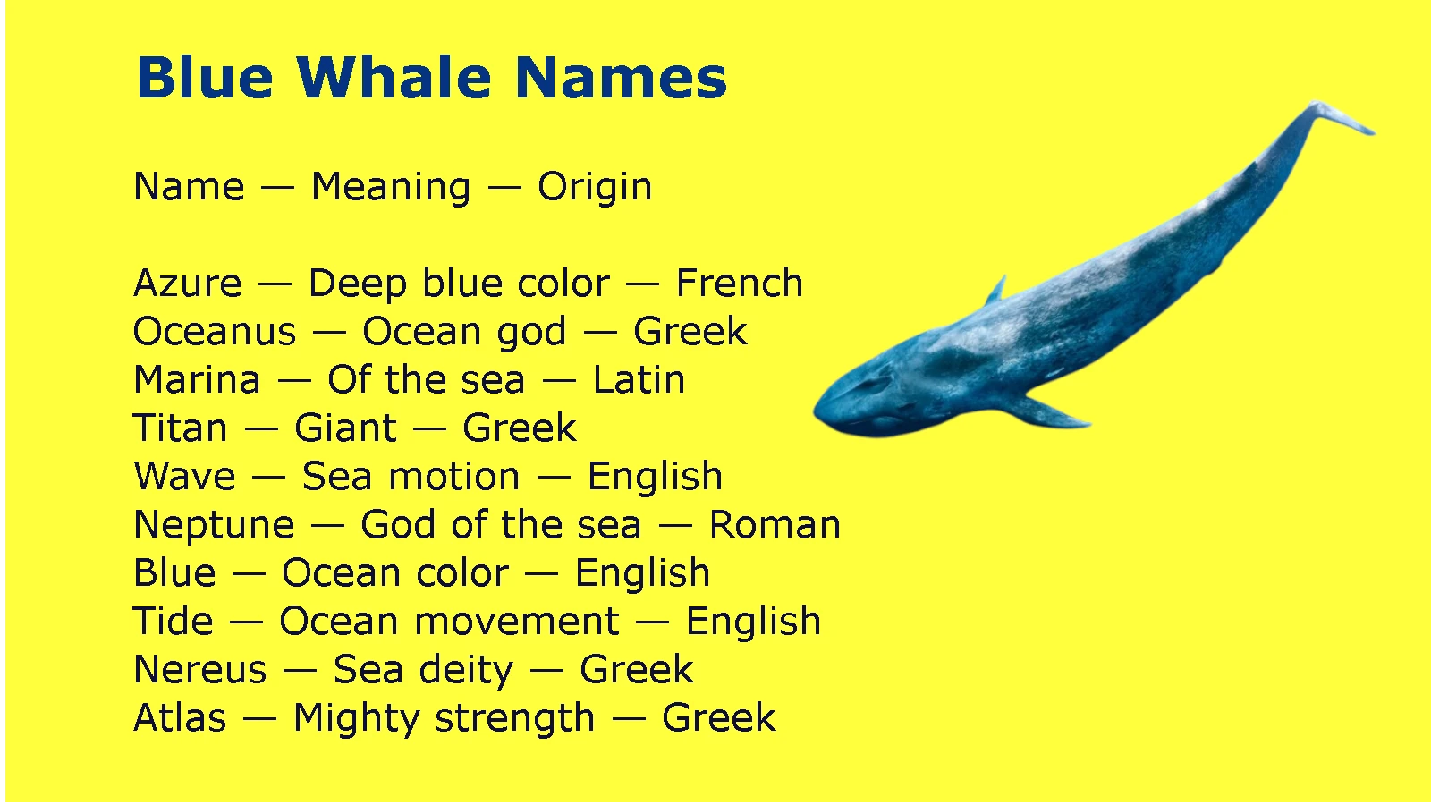 Blue Whale Names