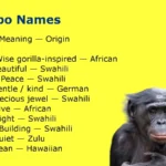 Bonobo Names