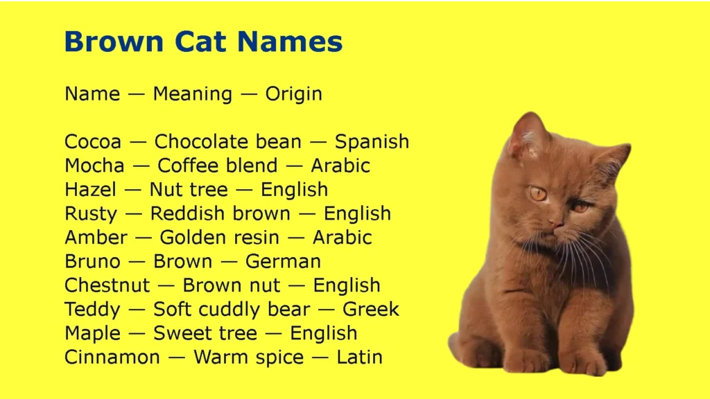 Brown Cat Names
