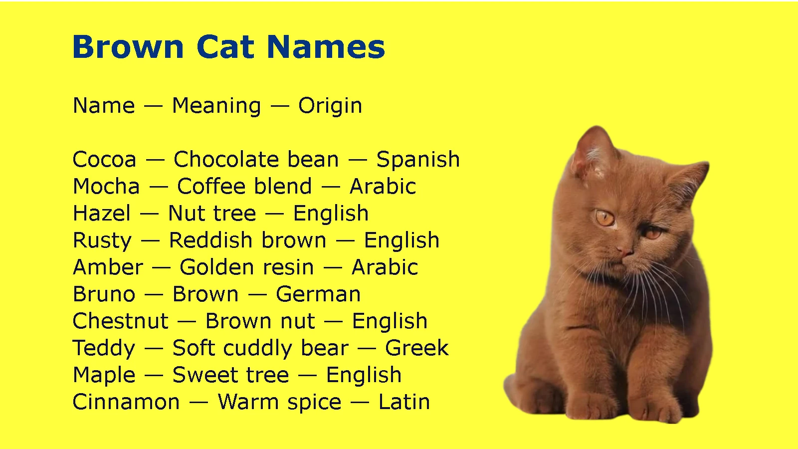 Brown Cat Names