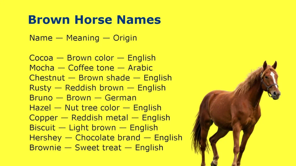 Brown Horse Names