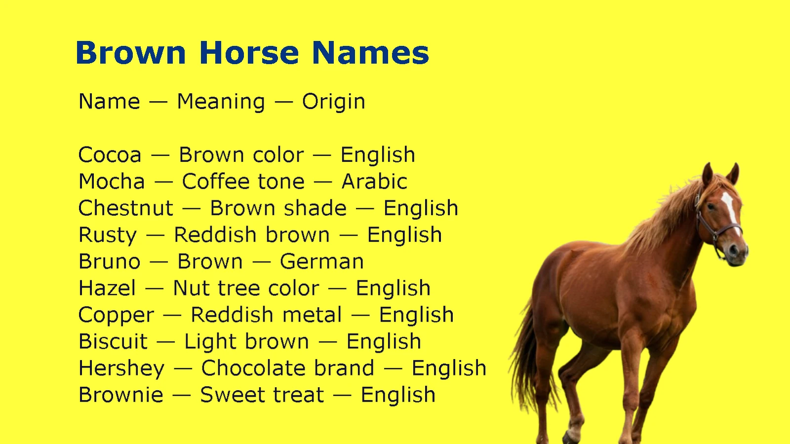 Brown Horse Names
