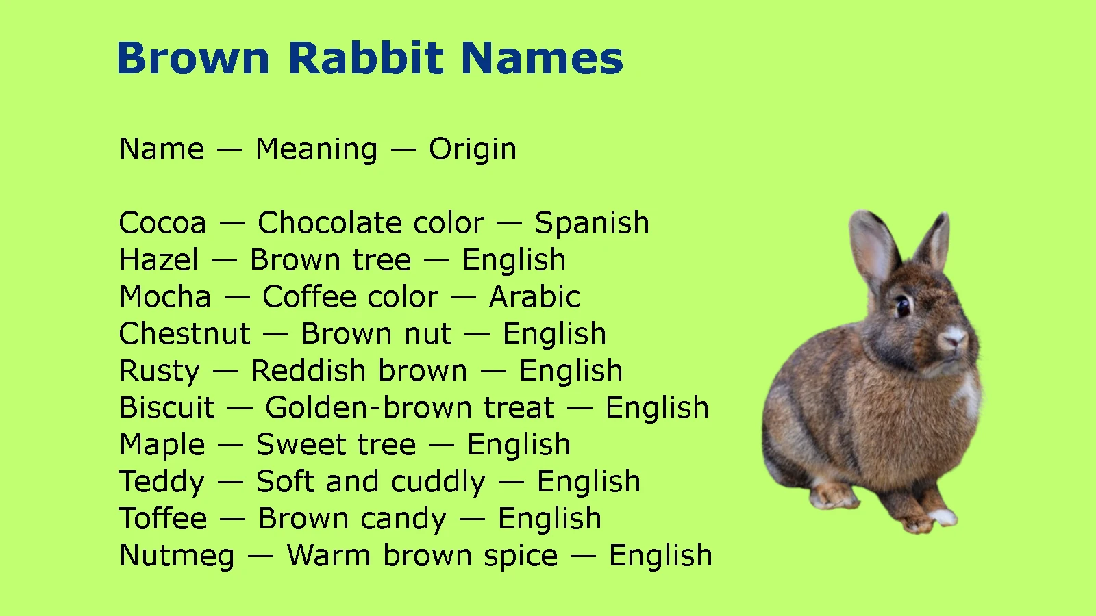 Brown Rabbit Names