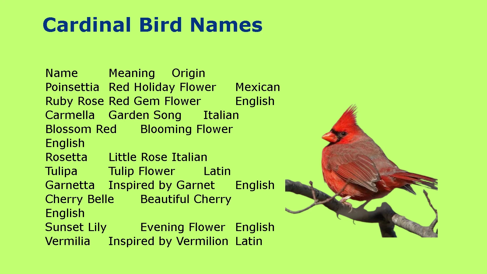 Cardinal Bird Names