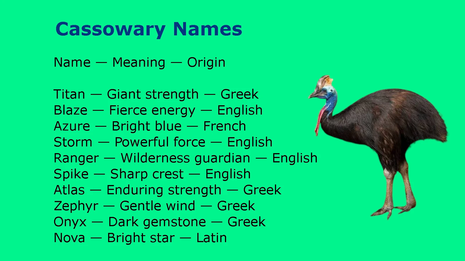 Cassowary Names