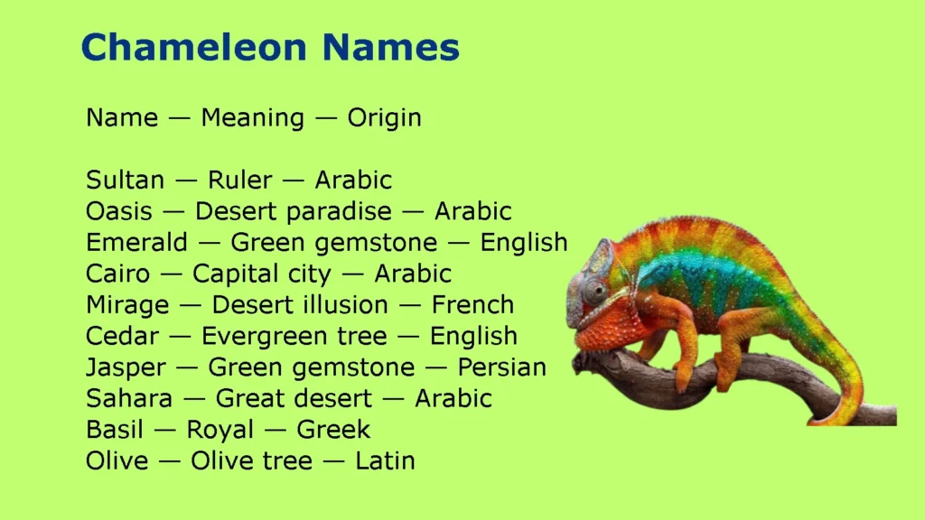 Chameleon Names