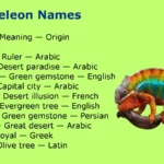 Chameleon Names