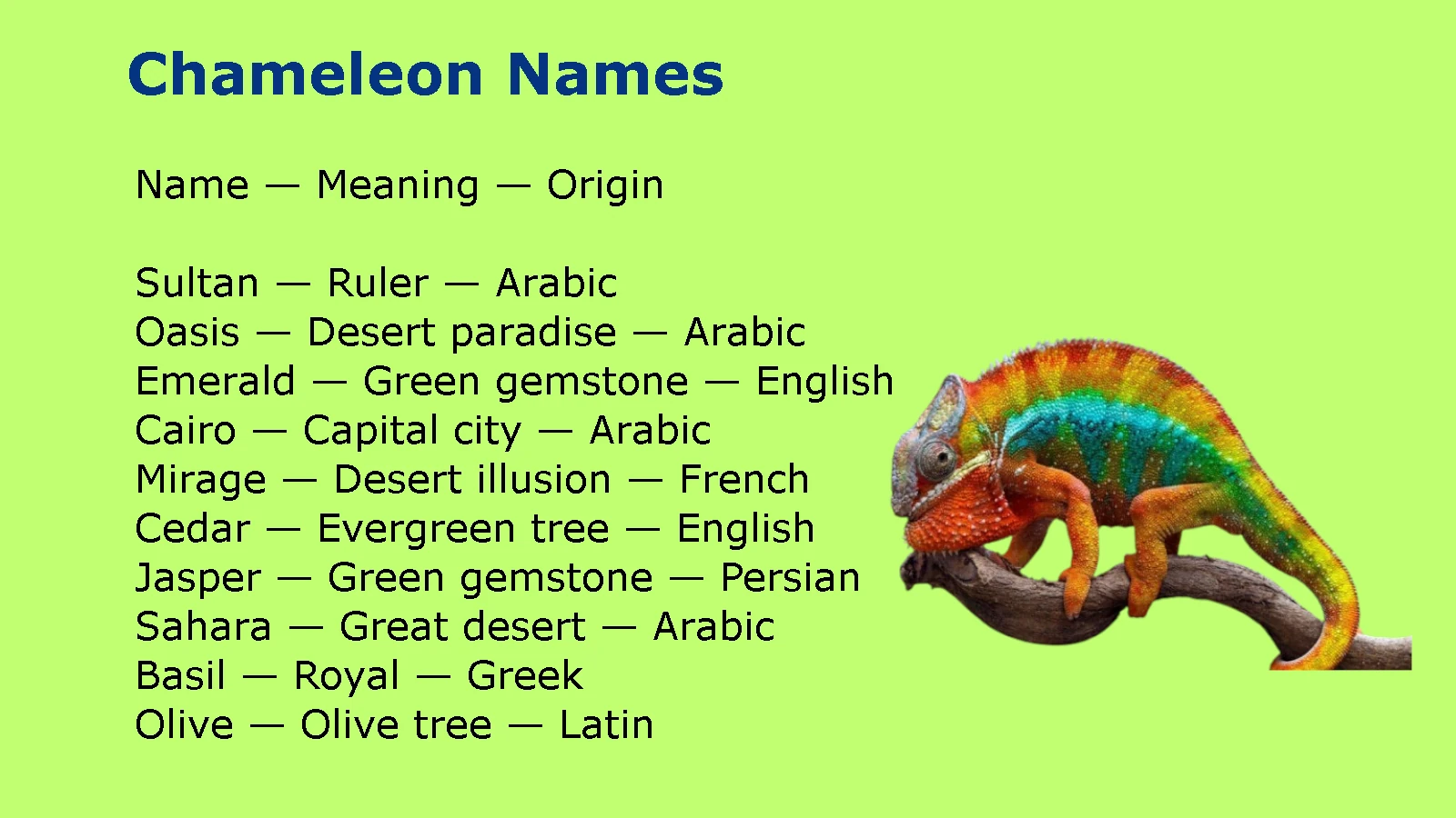 Chameleon Names