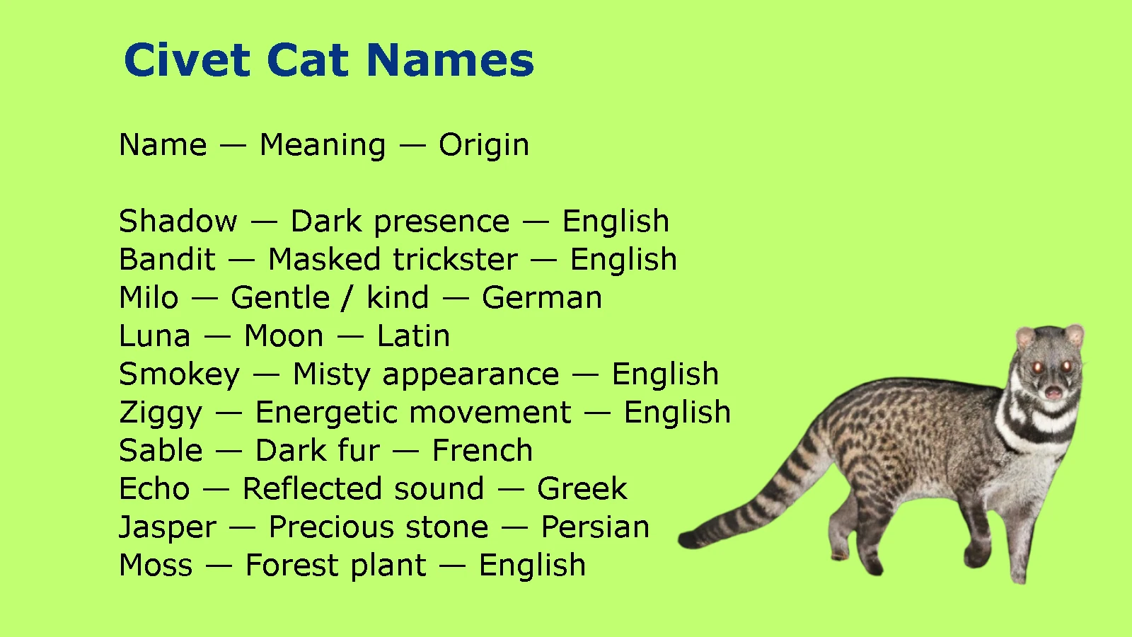 Civet Cat Names