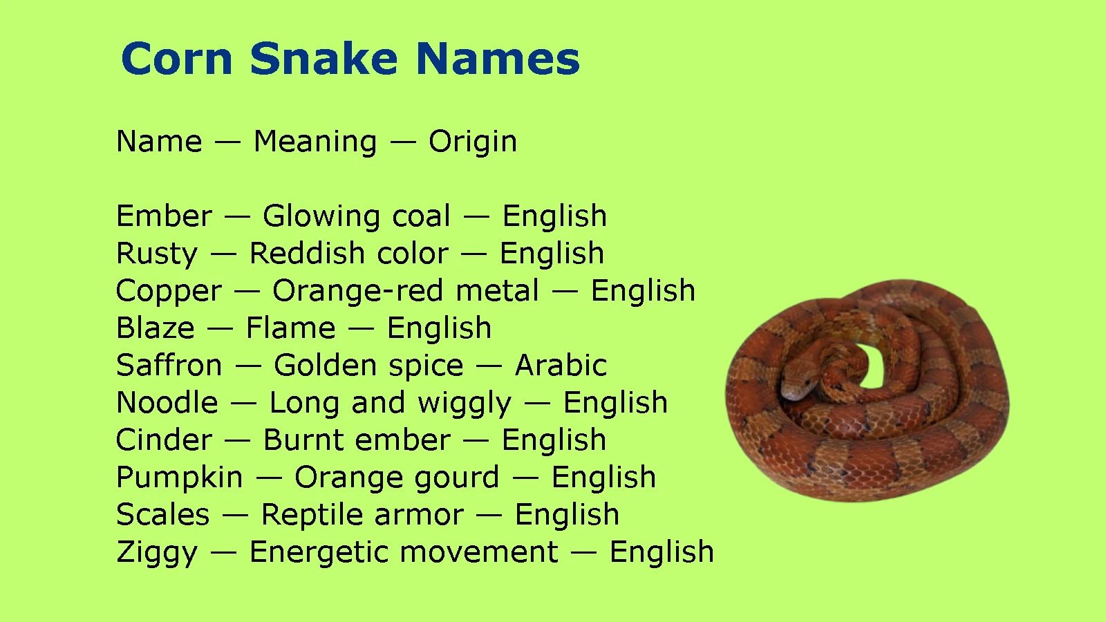 Corn Snake Names