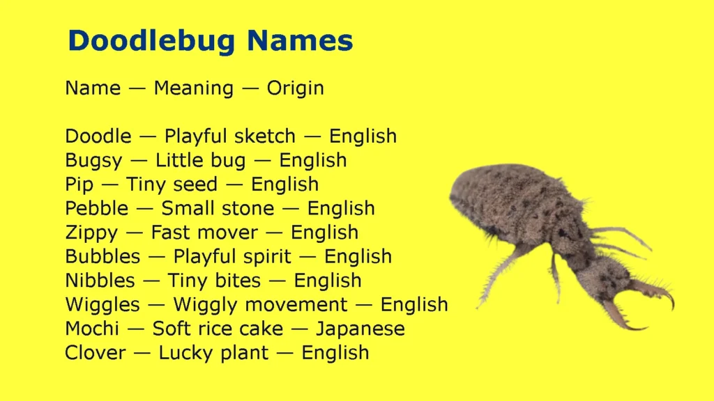 Doodlebug Names