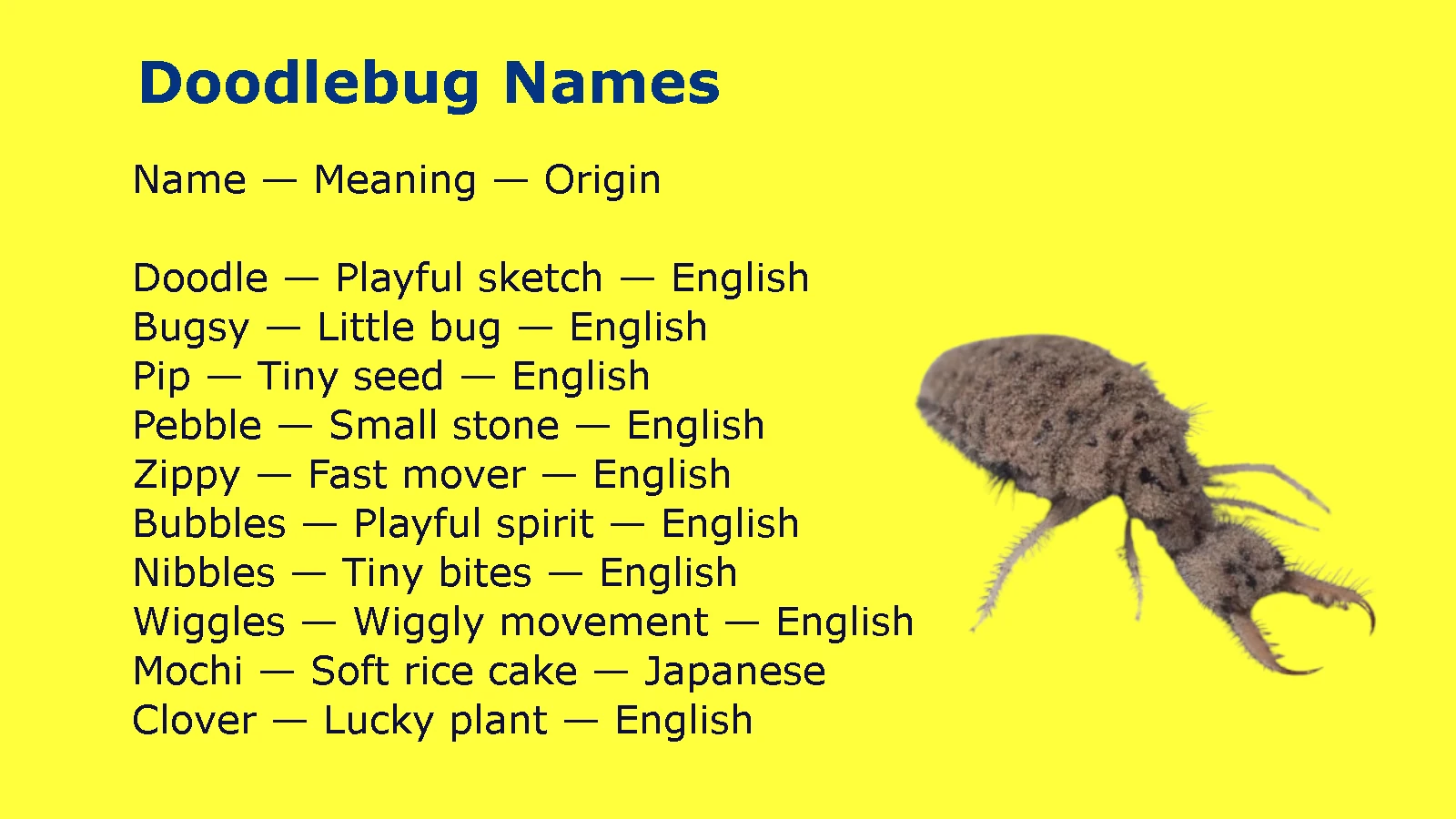 Doodlebug Names