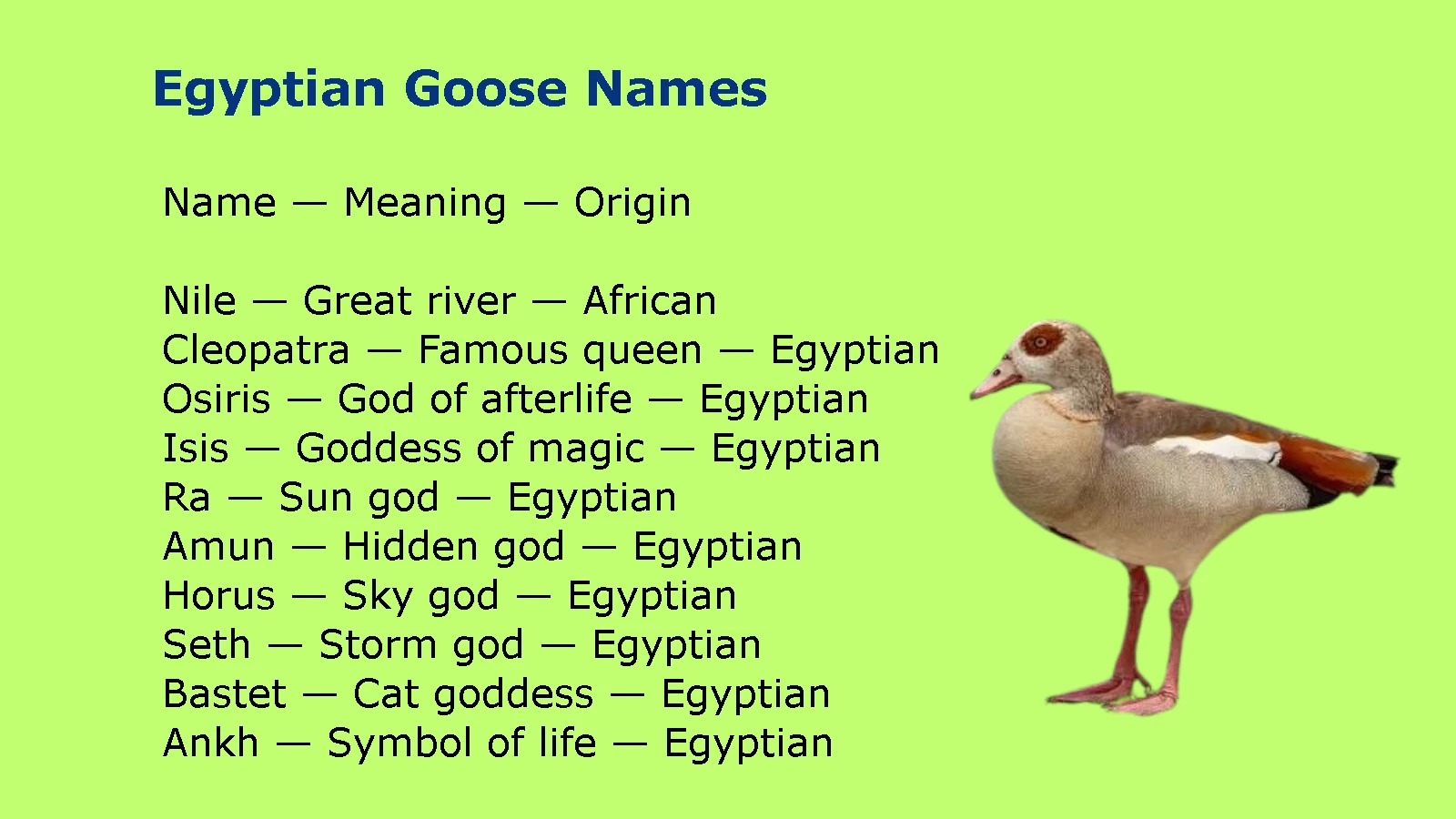 Egyptian Goose Names