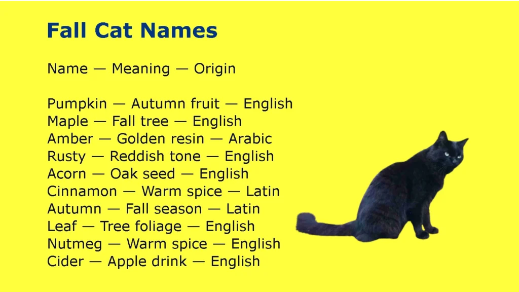 Fall Cat Names