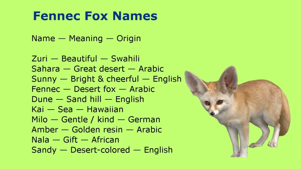 Fennec Fox Names