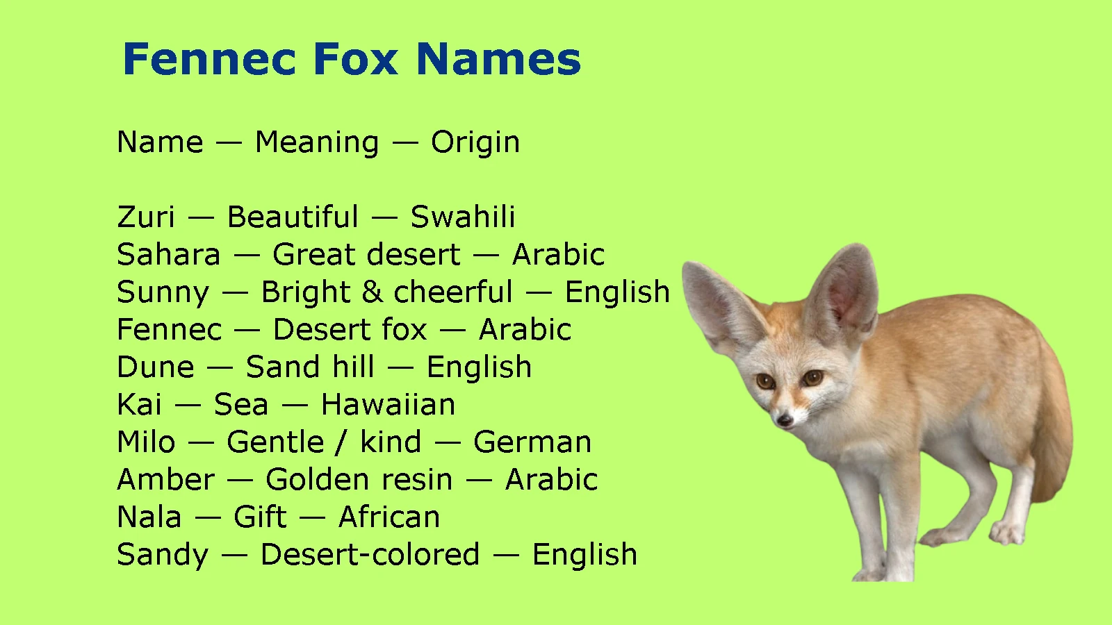 Fennec Fox Names