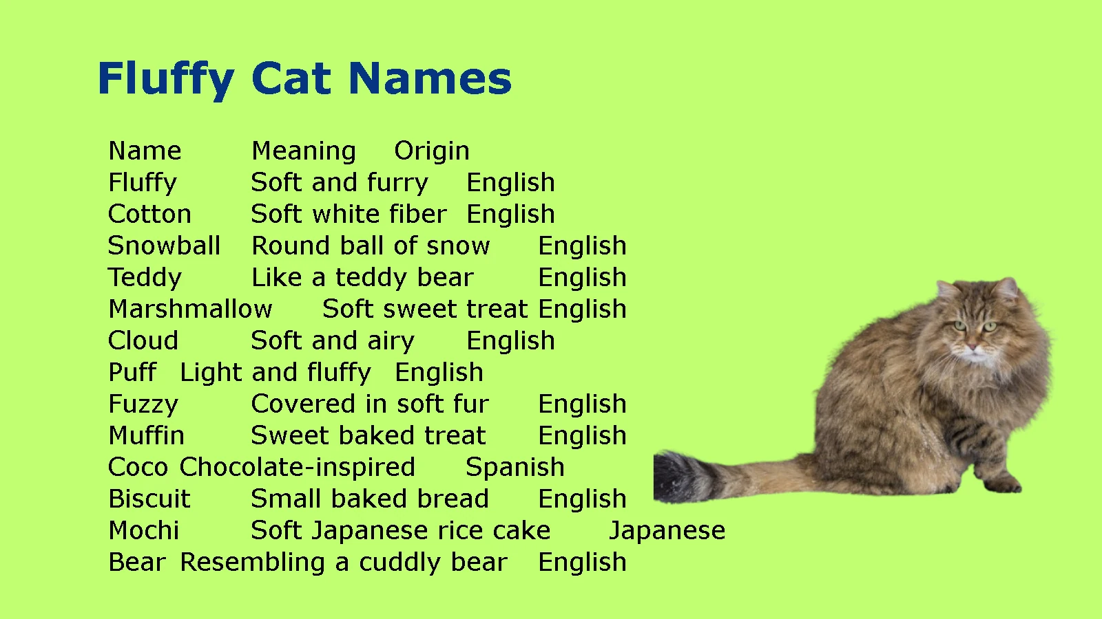 Fluffy Cat Names