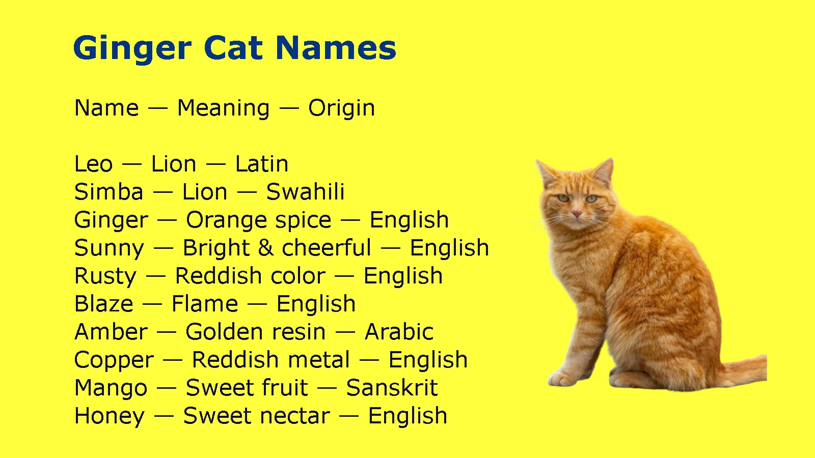 Ginger Cat Names