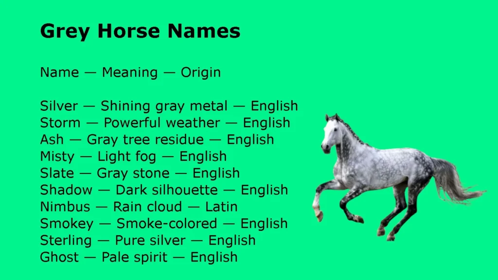Grey Horse Names