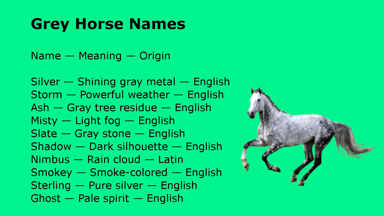 Grey Horse Names