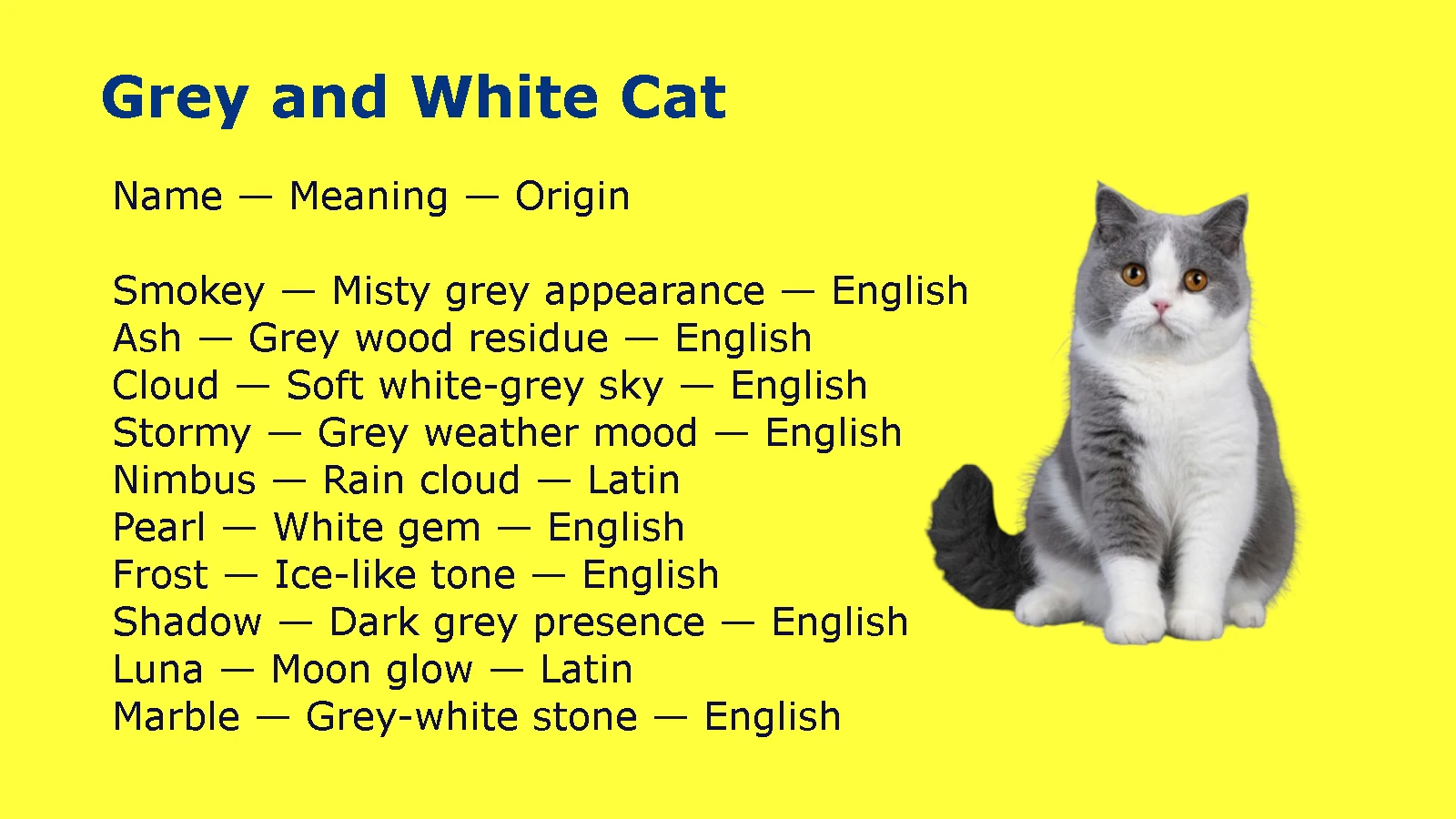 Grey and White Cat Names